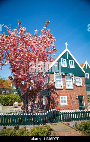 Case tradizionali in Olanda Città Volendam, Paesi Bassi Foto Stock