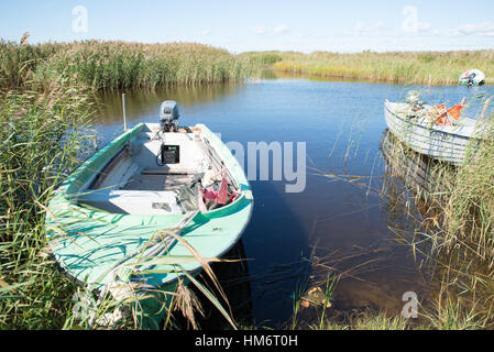 Piccole imbarcazioni ormeggiate tra ance, Kihnu Isola, Estonia Foto Stock