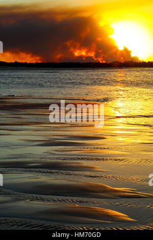 Flutti di fumo da un bushfire nella pineta vicino a campane Creek nella Sunshine Coast regione del Queensland, Australia. Foto Stock