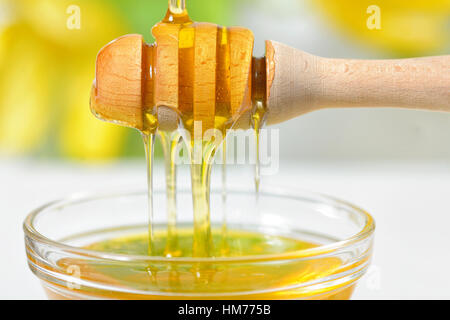 Golden miele sgocciola dal bilanciere Foto Stock