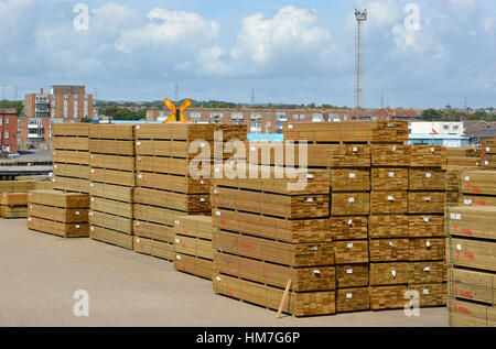Pile di legname importato su procedure Dockside Wizard a Shoreham Harbour nel West Sussex, in Inghilterra Foto Stock