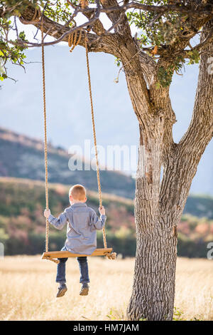 Bambino (4-5) seduto su altalena sotto agli alberi Foto Stock