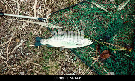 Appena catturati grandi trote e landing net, vista dall'alto Foto Stock