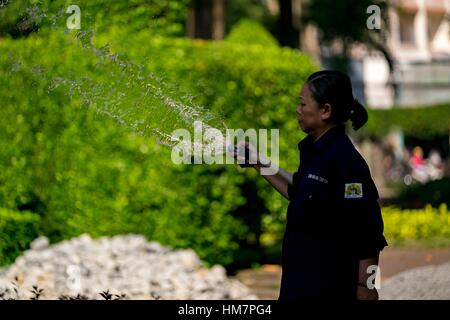 Vietnamita non identificato donna con cappello conico di erba di irrigazione in un parco Foto Stock