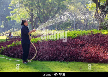 Vietnamita non identificato donna con cappello conico di erba di irrigazione in un parco. Foto Stock