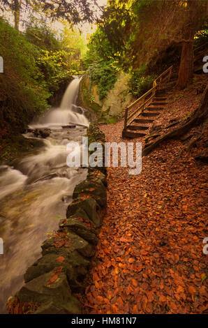 Autunno cade Foto Stock