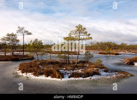 Inverno bog isole Foto Stock