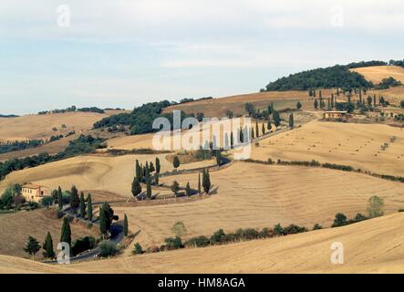 Strada fiancheggiata da cipressi tra Monticchiello e Chianciano Terme, Val d'Orcia (patrimonio mondiale Unesco, 2004), Toscana, Foto Stock