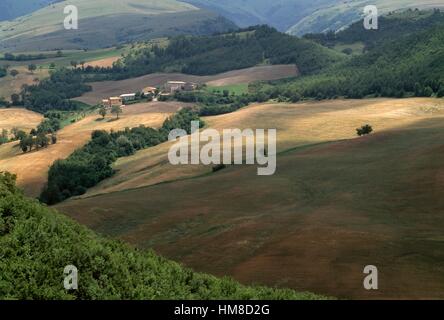 Il paesaggio agricolo nei pressi di Polverina, Macerata, Marche, Italia. Foto Stock