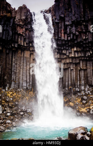 Svartifoss cascata in Vatnajokull National Park, Islanda, regioni polari Foto Stock