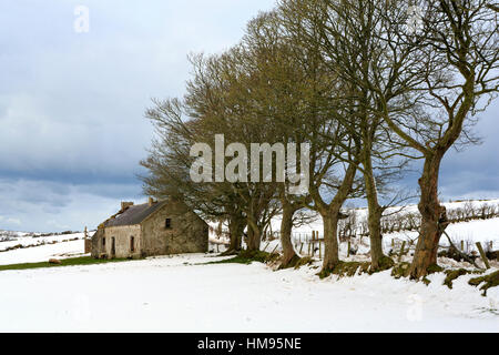 Cottage e alberi, Torr Head, County Antrim, Ulster (Irlanda del Nord, Regno Unito Foto Stock