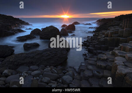 Giant's Causeway, County Antrim, Ulster (Irlanda del Nord, Regno Unito Foto Stock