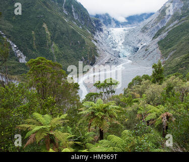 Vista del ghiacciaio Fox dal Chalet Lookout via, Fox Glacier, Westland Tai Poutini National Park, West Coast, Nuova Zelanda Foto Stock