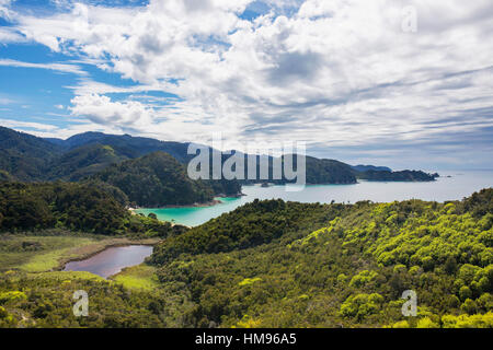 Vista su Torrent Bay da Abel Tasman Coast via, il Parco Nazionale Abel Tasman, vicino Marahau, Tasmania, Nuova Zelanda Foto Stock