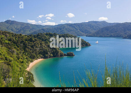 Vista sulla baia di governatori e braccio Grove, Queen Charlotte Sound (Marlborough Sounds), vicino a Picton Marlborough, Nuova Zelanda Foto Stock