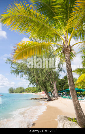 Spiaggia, Holetown, St. James, Barbados, West Indies, dei Caraibi e America centrale Foto Stock