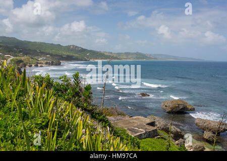 Betsabea, San Giuseppe, Barbados, West Indies, dei Caraibi e America centrale Foto Stock