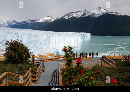 Ghiacciaio Perito Moreno sul Lago Argentino, El Calafate, Parque Nacional Los Glaciares, Patagonia, Argentina, Sud America Foto Stock