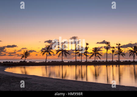 Palme PISCINA RIFLETTENTE ATOLLO MATHESON amaca Parcheggio contea Miami Florida USA Foto Stock