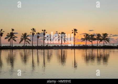 Palme PISCINA RIFLETTENTE ATOLLO MATHESON amaca Parcheggio contea Miami Florida USA Foto Stock