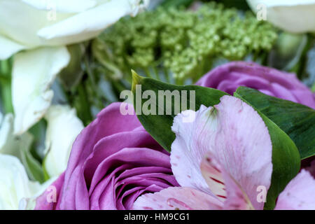 Giardino selvaggio bouquet di rose e splendido verde brillante foglie fresche Foto Stock