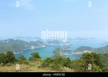 Una vista del calcaree spettacolari formazioni carsiche in Lan Ha Baia di Halong Bay, Vietnam Foto Stock
