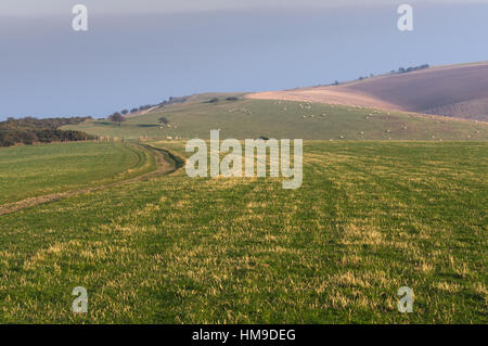 Una vista attraverso gli erbosi downland a Ditchling Beacon guardando ad ovest a est Foto Stock