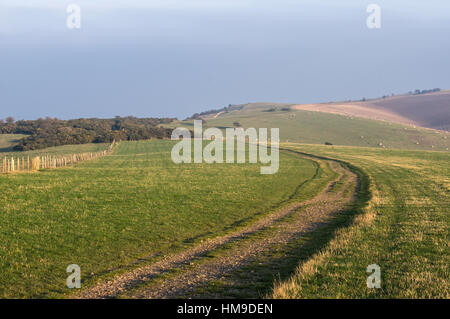 Una vista attraverso gli erbosi downland a Ditchling Beacon guardando ad ovest a est Foto Stock