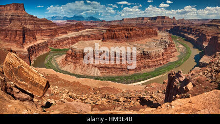 Collo d'oca sul fiume Colorado, Bears Ears National Monument, vista dal Gooseneck Trail, dalla zona di White Rim Road, dal Canyonlands National Park, Utah, USA Foto Stock