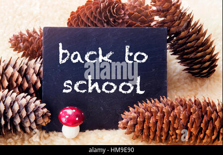 Pigne nelle quali e lavagna con le parole si torna a scuola scritto su di esso Foto Stock