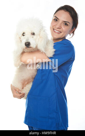 Veterinario tenendo un bianco francese cane barboncino Foto Stock