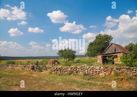 Paesaggio rurale, fattoria cortile rurale in estate Foto Stock