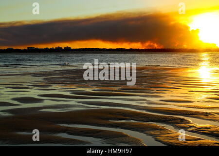 Flutti di fumo da un bushfire nella pineta vicino a campane Creek nella Sunshine Coast regione del Queensland, Australia. Foto Stock