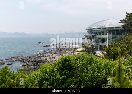 Nurimaru APEC House, Dongbaek Island Park, Busan, Corea del Sud Foto Stock