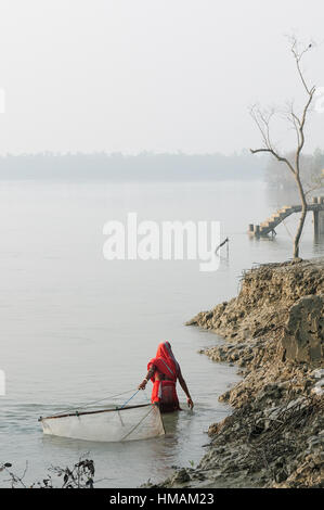 Donna indiana la ricerca del delta del fiume Gange per il cibo nella giungla della sundarbans national park in India Foto Stock