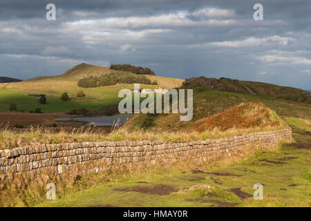 Il Vallo di Adriano: un inizio autunno vista lungo la buccia dirupi, guardando verso la falesia Lough, Highshield e balze Hotbank Foto Stock