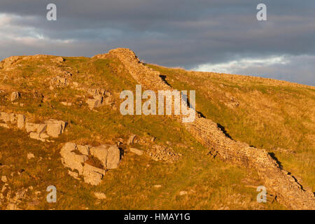 Il Vallo di Adriano: inizio autunno sole illumina il corso del muro sul ripido pendio sul lato orientale del platano Gap Foto Stock