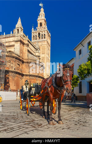 Carrozza a cavallo nei pressi di Torre Giralda, Siviglia, Spagna. Foto Stock