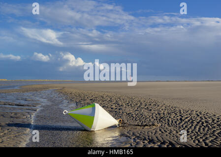 Sulla boa sandbank con acqua sfuggente, Sankt Peter-Ording, Schleswig-Holstein il Wadden Sea National Park, Nord Frisia Foto Stock