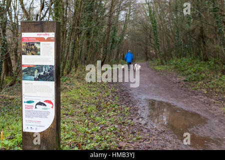 Direzione e segnali di informazione in corrispondenza della pesca parcheggio auto per fermare Hadnock trail, Foresta di Dean. Foto Stock