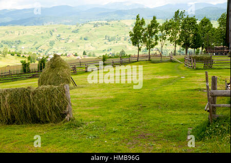 Campo con pagliaio sulle montagne Foto Stock