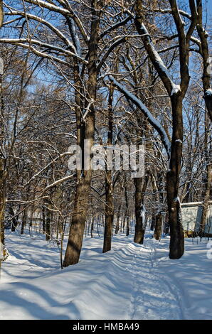 La pala di recente stagione invernale a piedi nel parco, Sofia, Bulgaria Foto Stock