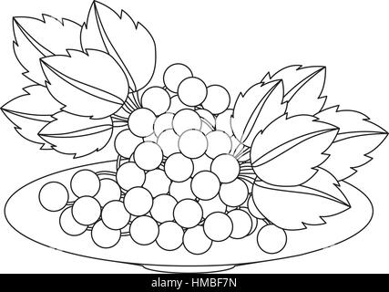 Deliziosi frutti uve icona illustrazione vettoriale graphic design Illustrazione Vettoriale