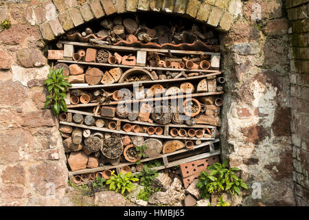 Cinque Stelle Hotel Bug in un arco storico - Devon Wildlife Trust, Cricklepit Mill, Exeter, Devon. Foto Stock