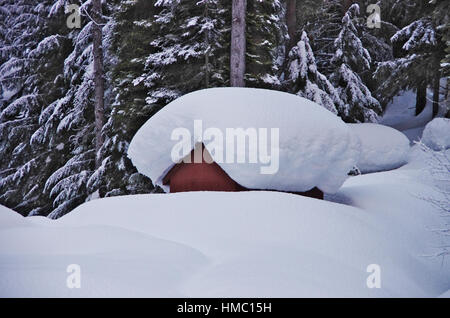 Cabina in legno completamente ricoperta di neve fresca Foto Stock