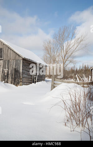 Cielo azzurro e sole per questo vecchio log cabin fattoria con weathered grigio e nero verniciato scheda del granaio. Una vecchia porta o finestra è incorniciata sulla en Foto Stock