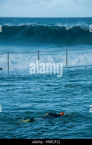 Nuotatore in recinzione di mare con muta, paesaggio stagcape Australia orientale Foto Stock