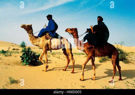 Il Tuareg uomini che indossano tagelmusts circa le loro teste e facce cavalcare i cammelli nel deserto del Sahara a nord di Timbuktu, Mali. Foto Stock