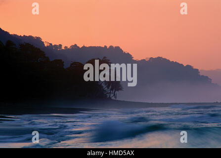 La spiaggia e la foresta pluviale nel Parco Nazionale di Corcovado all'alba, Osa Peninsula, Costa Rica. Foto Stock