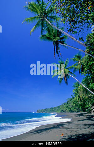 La spiaggia e la foresta pluviale nel Parco Nazionale di Corcovado, Osa Peninsula, Costa Rica. Foto Stock